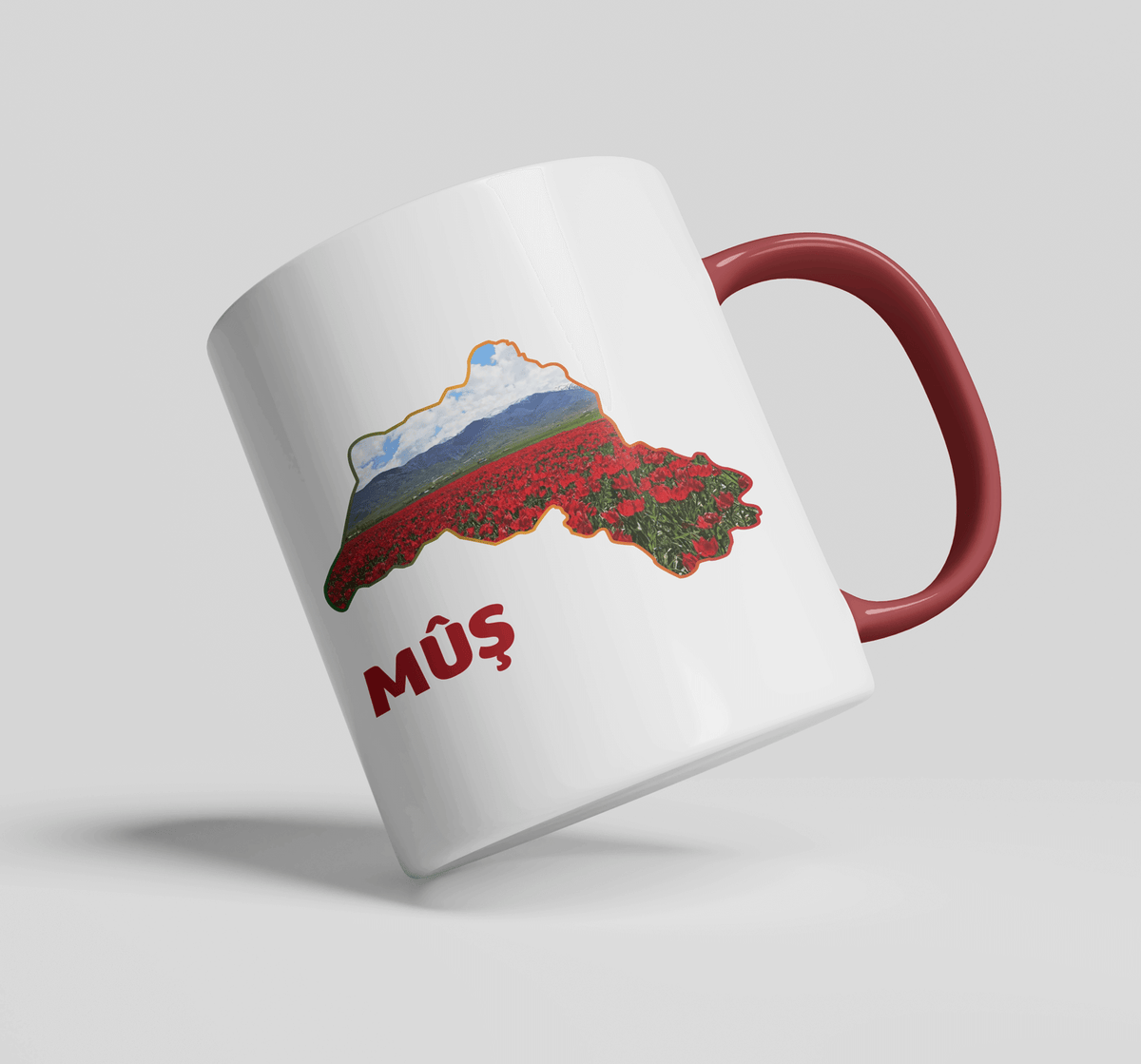 Mûş
