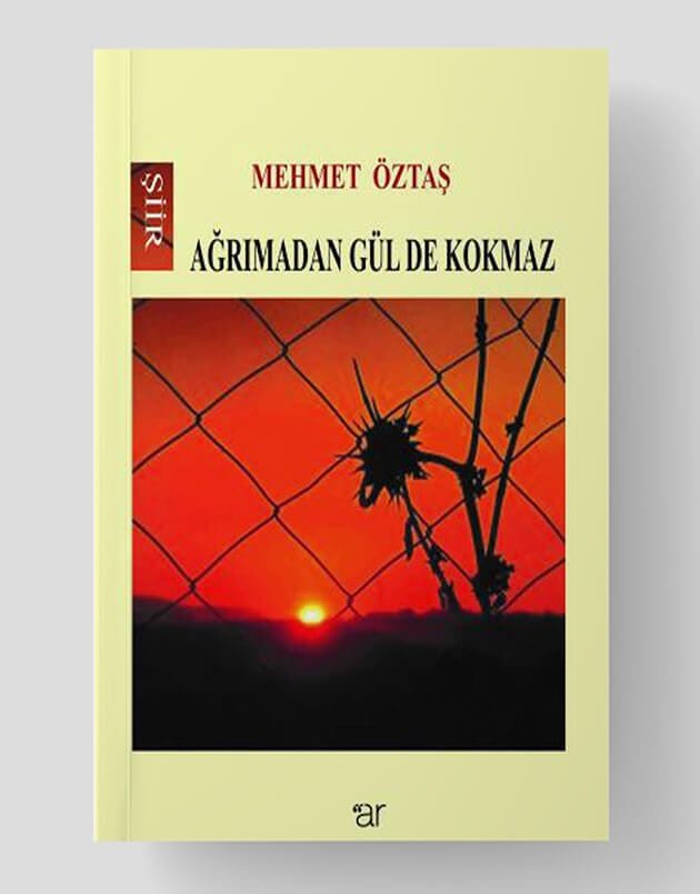 Ağrımadan Gül De Kokmaz