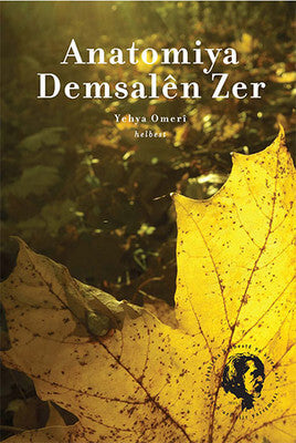 Anatomiya Demsalên Zer