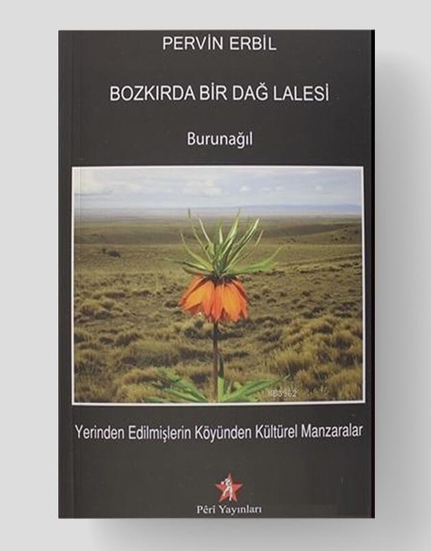 Eine Bergtulpe in der Steppe