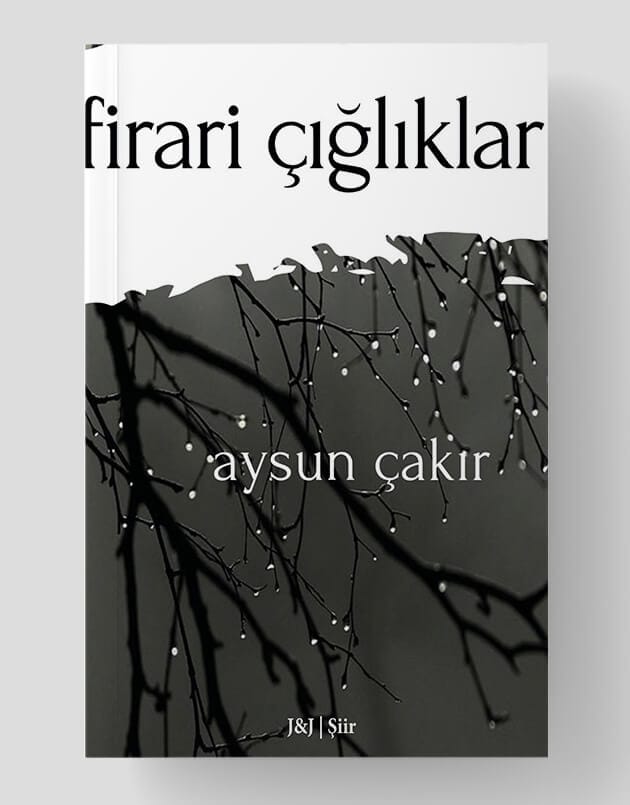 Qîrînên Reviyayî