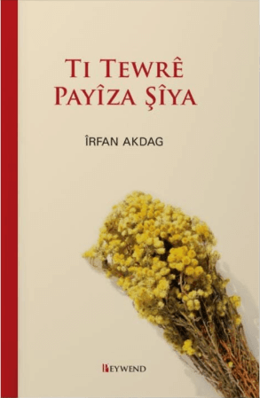 Ti Tewrê Payiza Şiya