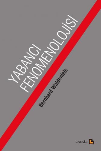 Yabancı Fenomenolojisi